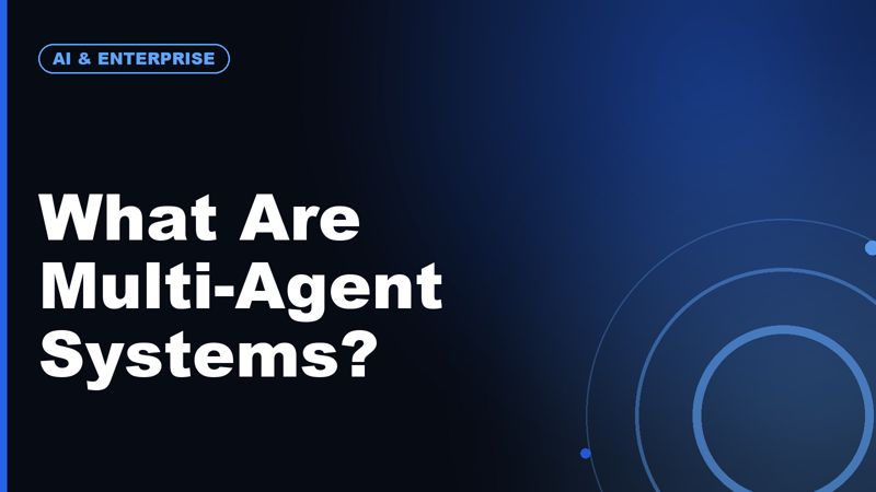 What Are Multi-Agent Systems?